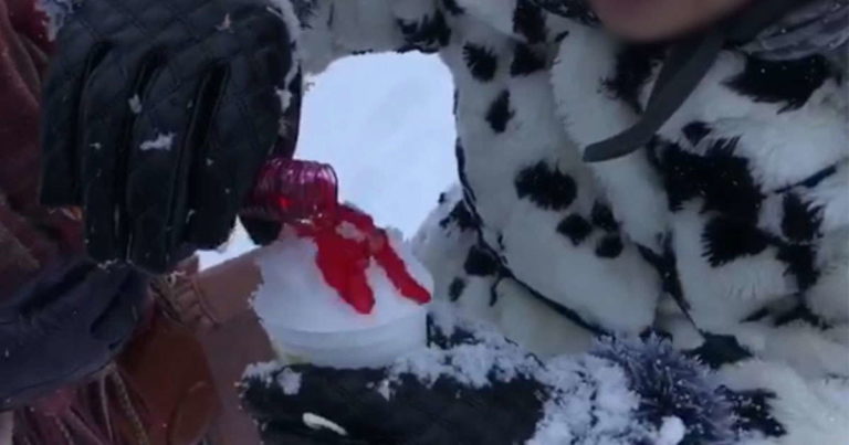日本のスキー場がタイ人に「雪をかき氷にしないで！」と注意した結果！【タイ人の反応】