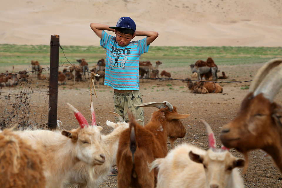 羊飼いの少年の1日の始まり