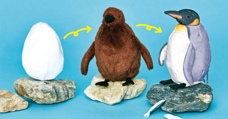 オウサマペンギンのぬいぐるみ