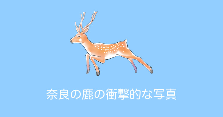 奈良の鹿の衝撃的な写真