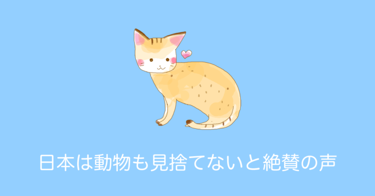 日本政府が「台風時に猫の島のネコを避難させたこと」がタイで話題に！続々と感謝の声が！【タイ人の反応】
