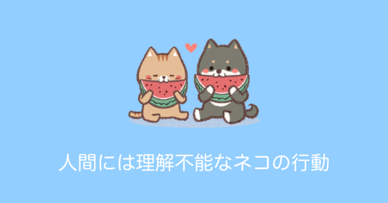 日本で「人間には理解不能な猫のロジック」が面白いと話題に！【タイ人の反応】