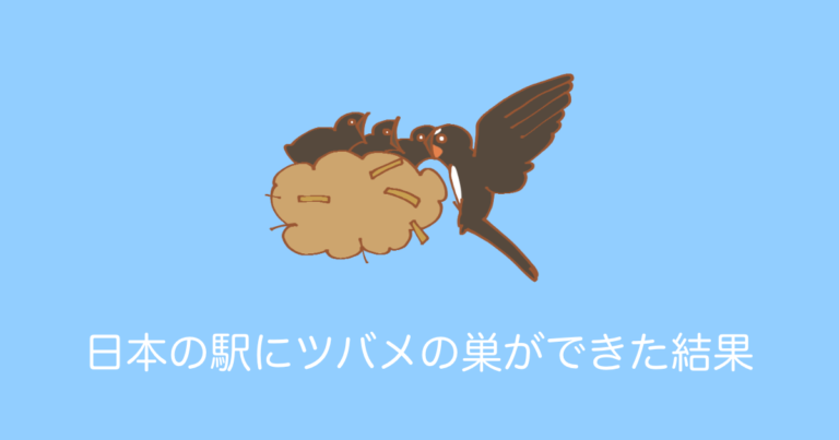 日本の駅にツバメの巣ができた結果