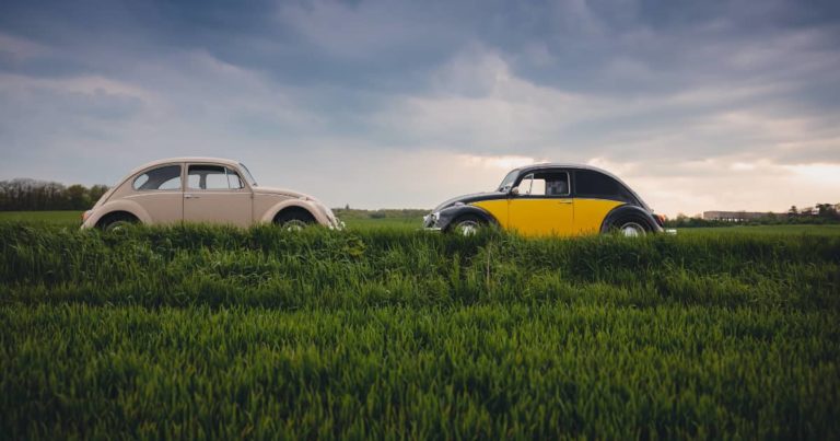 自動車と草