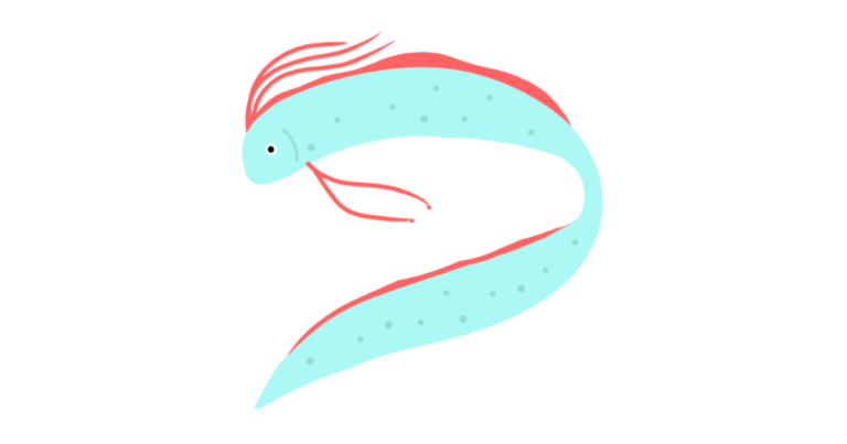 リュウグウノツカイ