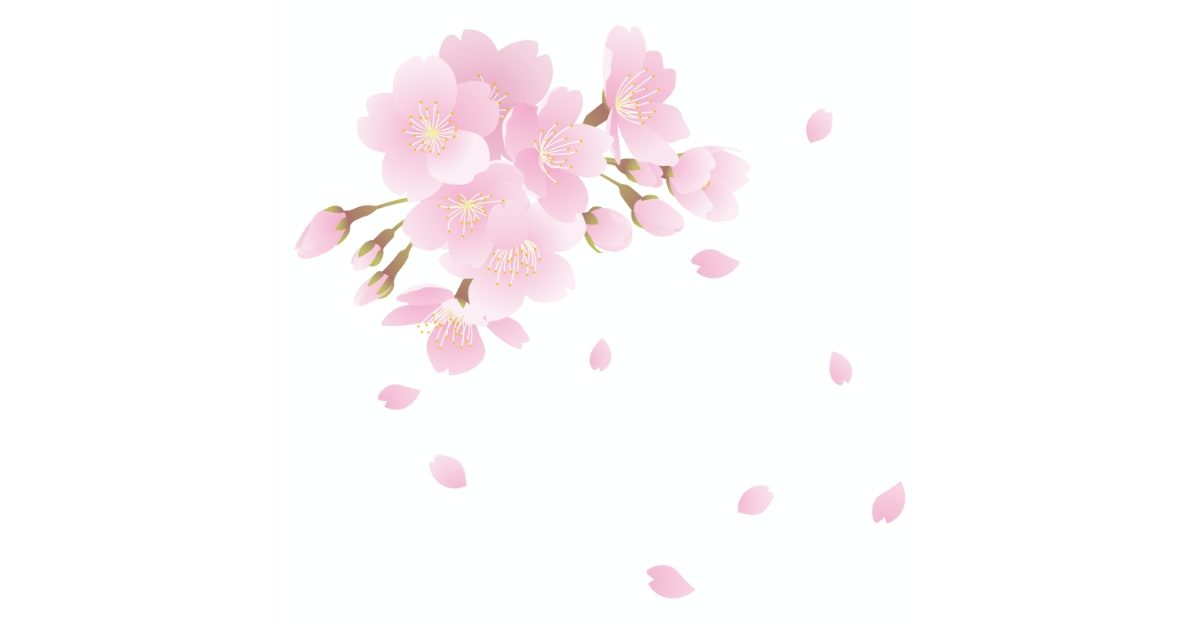 日本人が桜の花びらを掃除したら地面に 可愛いアート が出現 ロマンチックすぎる 台湾人の反応