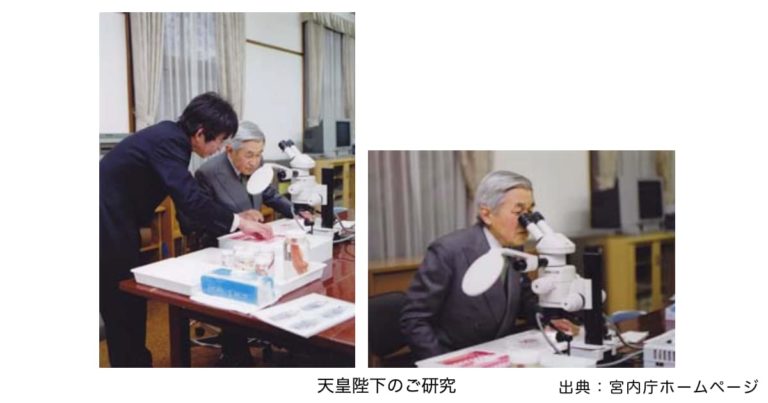 研究をされる上皇陛下