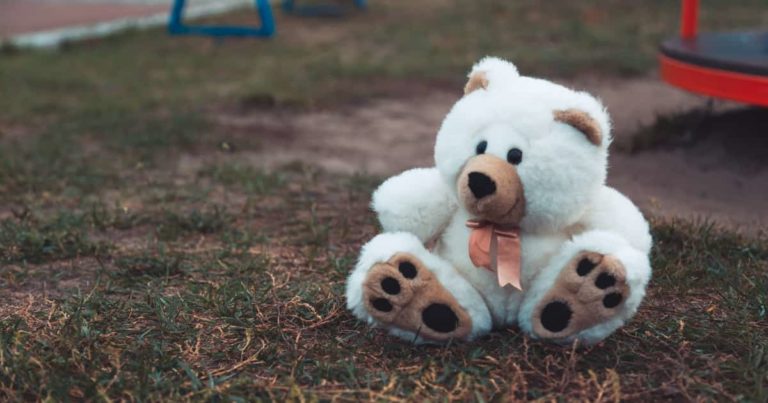 日本人が道で拾った「クマのぬいぐるみ」を連れて帰った結果！【タイ人の反応】