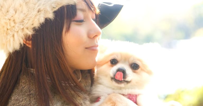 犬を抱く美少女