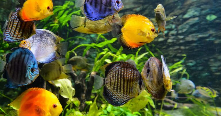 水族館