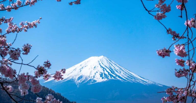 富士山と桜