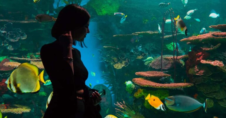 水族館にいる外国人美女
