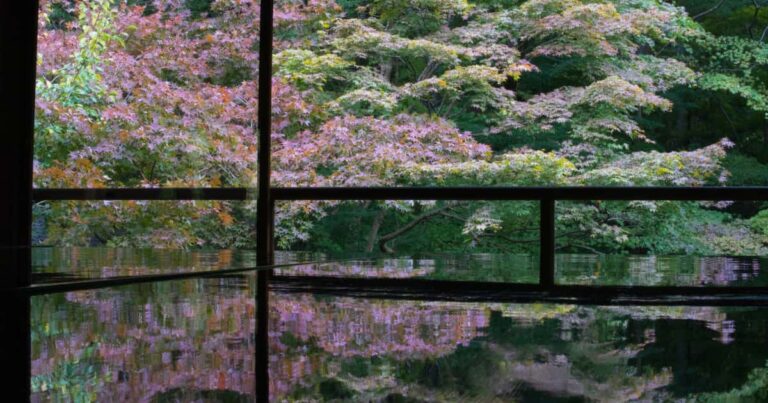 瑠璃光院