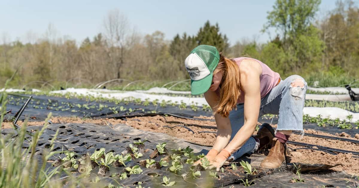 野菜を植える外国人女性