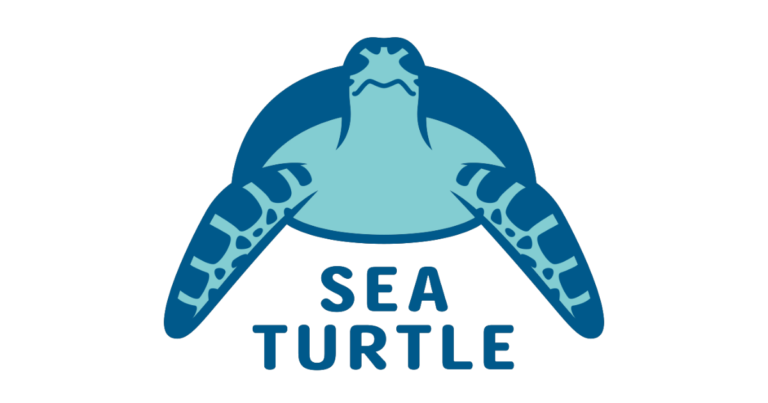 ウミガメ