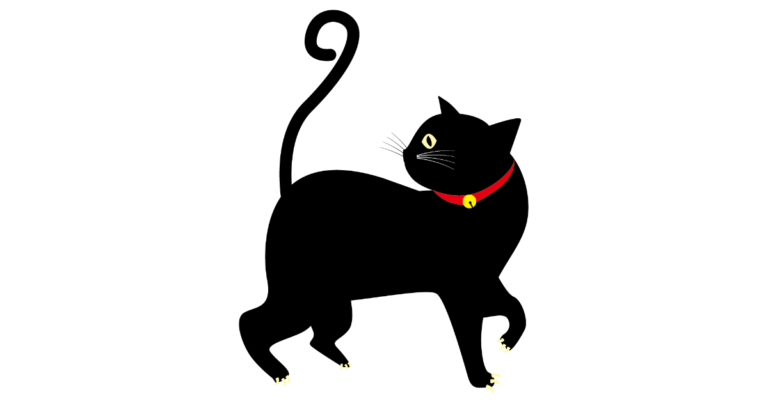 黒猫
