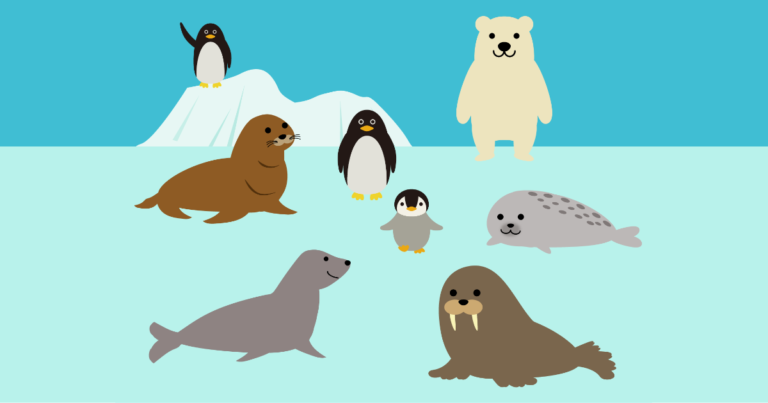 海の生き物