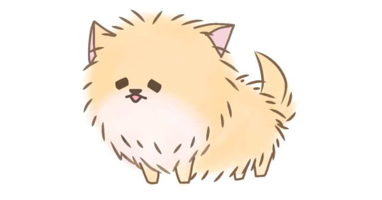 ポメラニアン