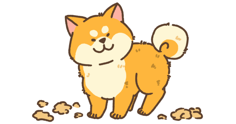 柴犬の換毛期