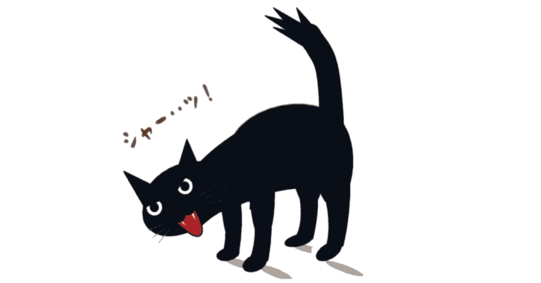 シャーシャー猫（ネコ）