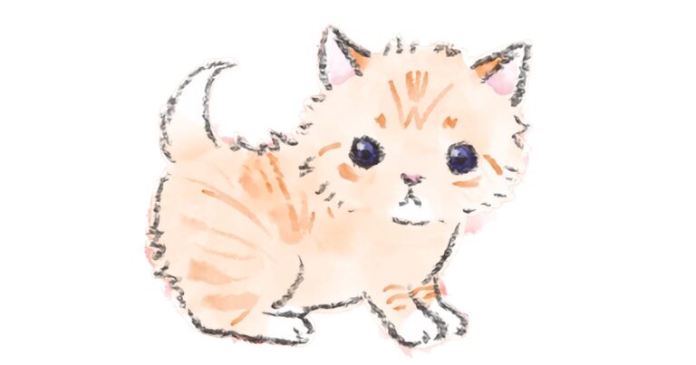 かわいい子猫