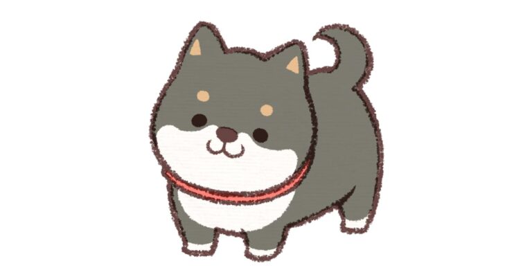黒柴