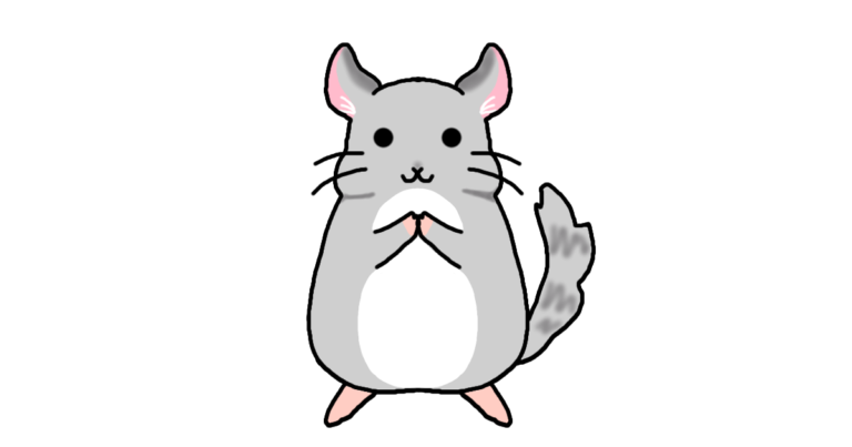チンチラ