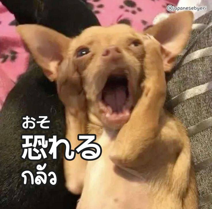 恐れるチワワ