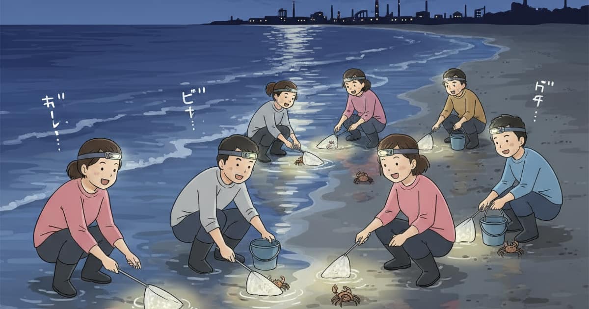 千葉の牛込海岸で夜にカニ採りする人たち