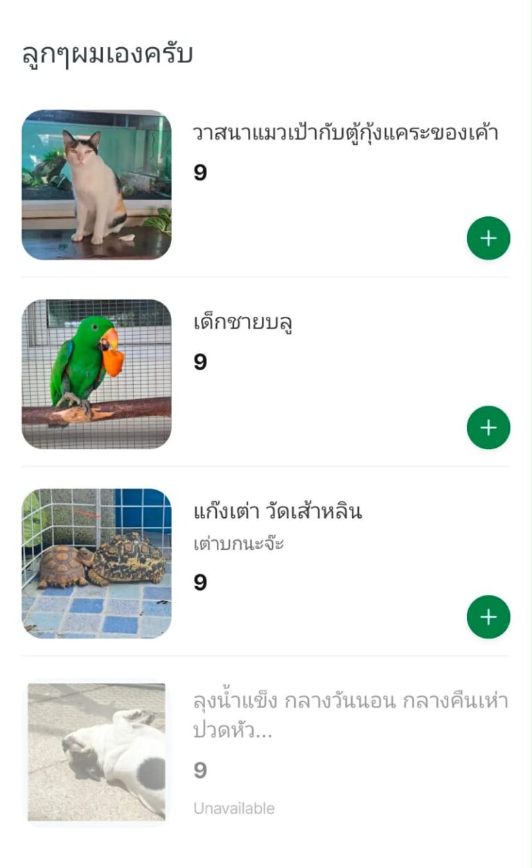 タイのデリバリーメニューにペットが