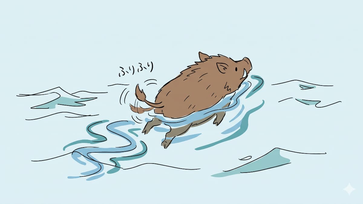 しっぽをふりふりしながら海を泳ぐイノシシ